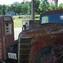 Long forgotten truck in shade on day 2. Staunton, IL.
