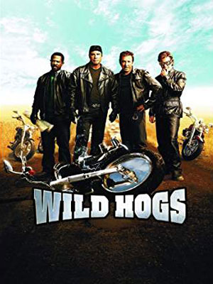 Wild Hogs, 2007, movie, route 66